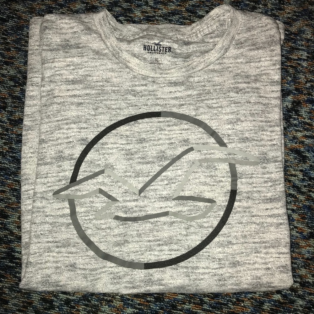 Hollister grey/white t-shirt